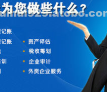 稅務財務咨詢 專業服務助力企業高效發展